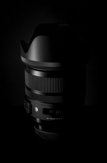 team member portrait
